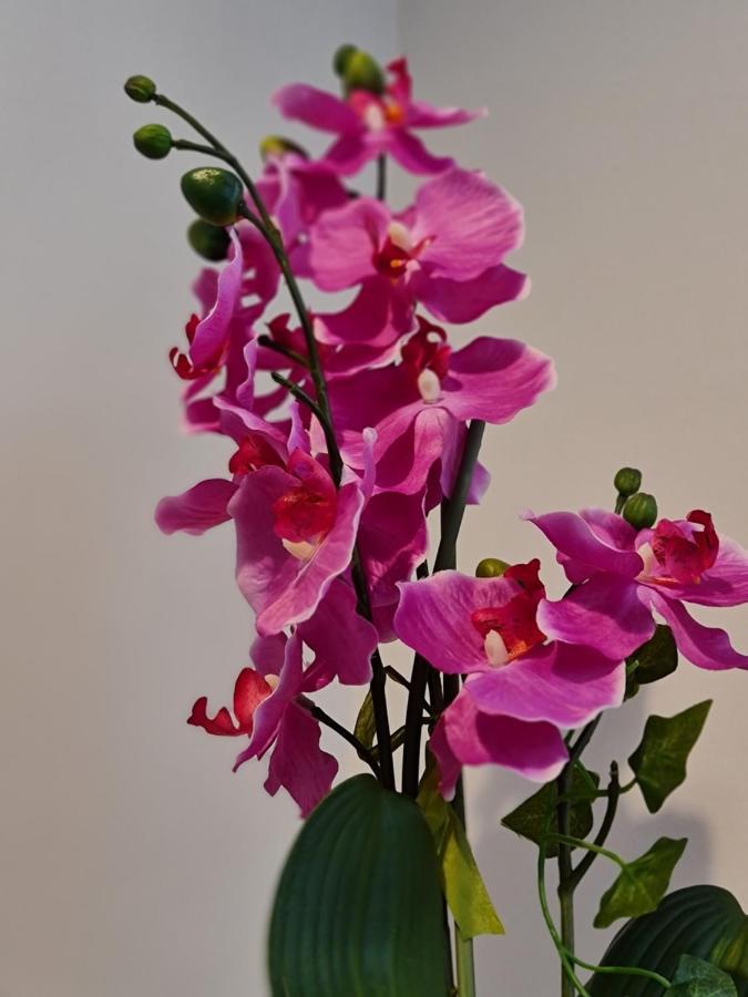 Diamond Harbour - Whole Huge Apartment - Wifi - Beach - Ramsgate Town מראה חיצוני תמונה